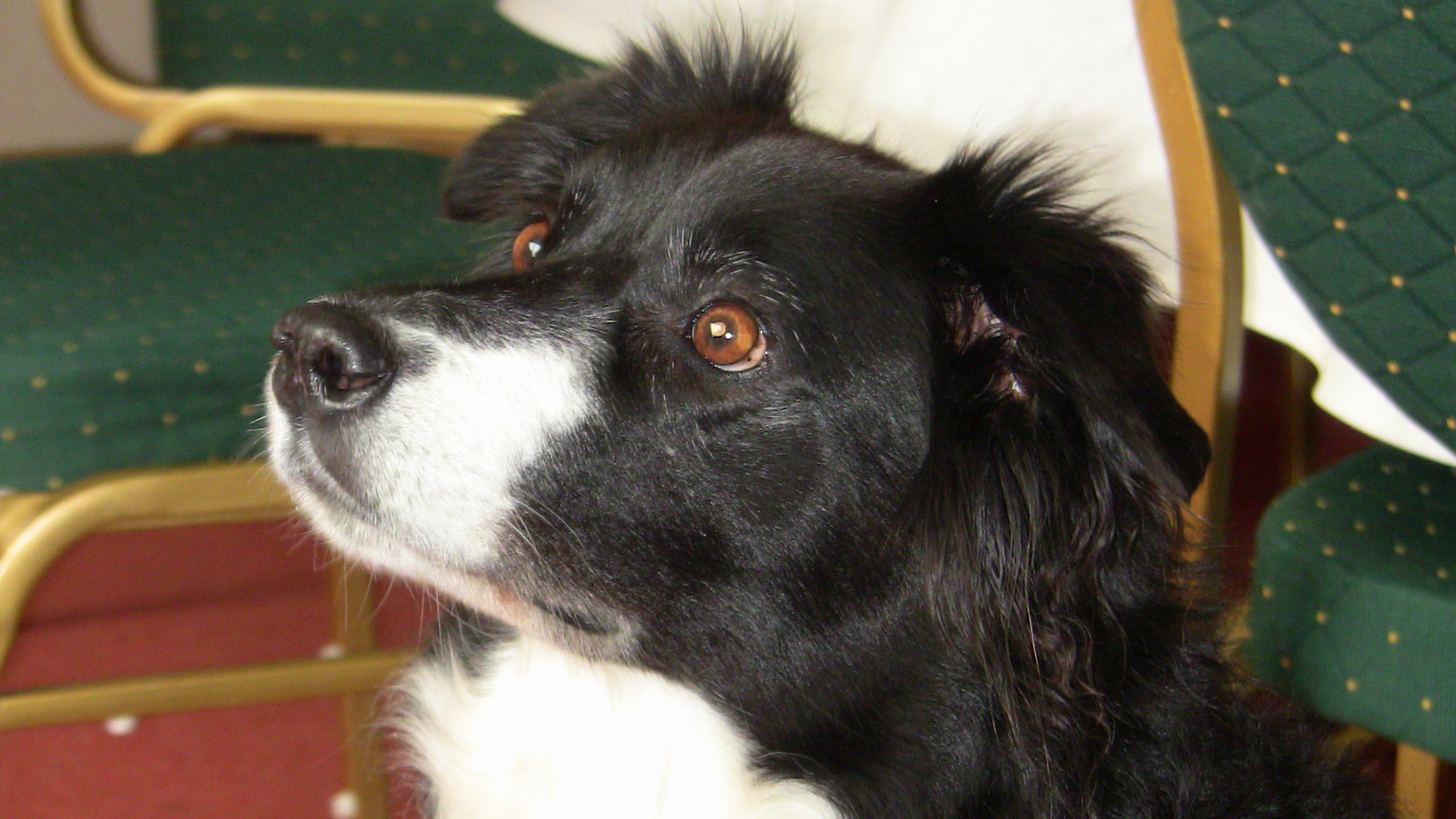 6 Leonie.JPG (1920 x 1080)